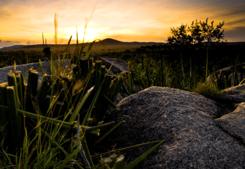 Sunset over rocky grassland