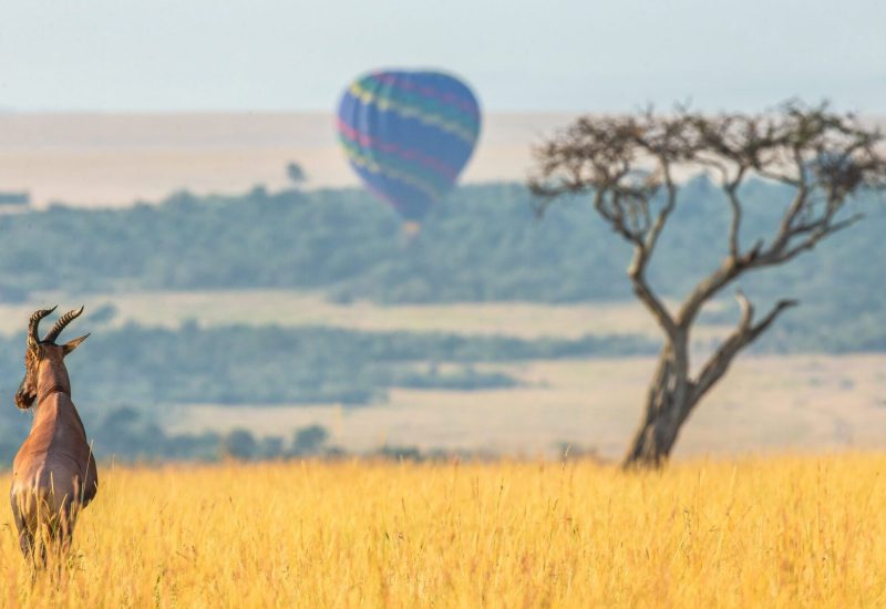 imgi_1_gai_5905-copy-1693x1080